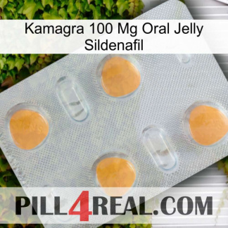 Kamagra 100 Mg Oral Jelly Sildenafil 24